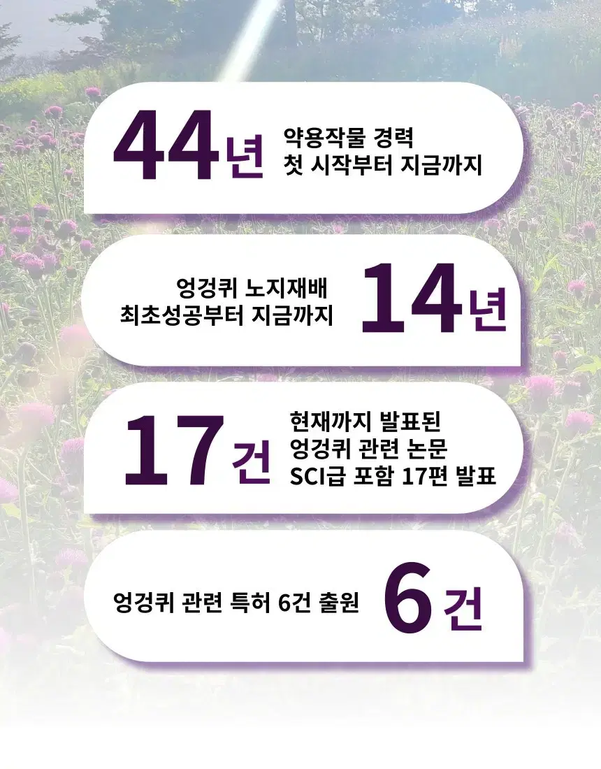 thumbnail-10